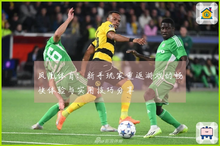 凤凰体育：新手玩家重返游戏的畅快体验与实用技巧分享